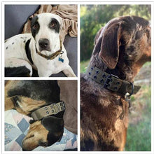 Wefulfil Nylon Large Dog Collar in olive green on large dogs with metal buckle and eyelets