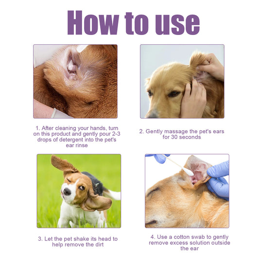 Step by step guide showing how to use Pet Cat And Dog Ear Rinse on a dog’s ears for cleaning and care