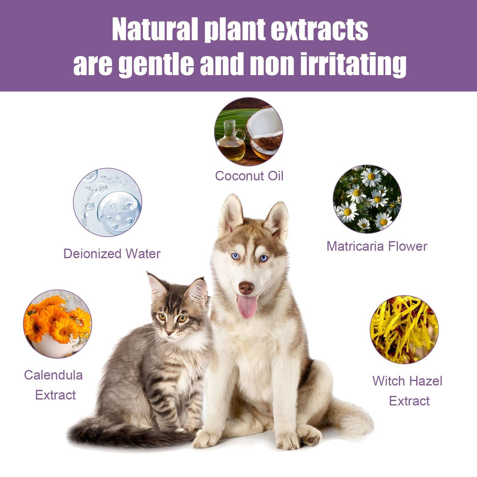 Wefulfil Pet Cat And Dog Ear Rinse with natural plant extracts including coconut oil and chamomile
