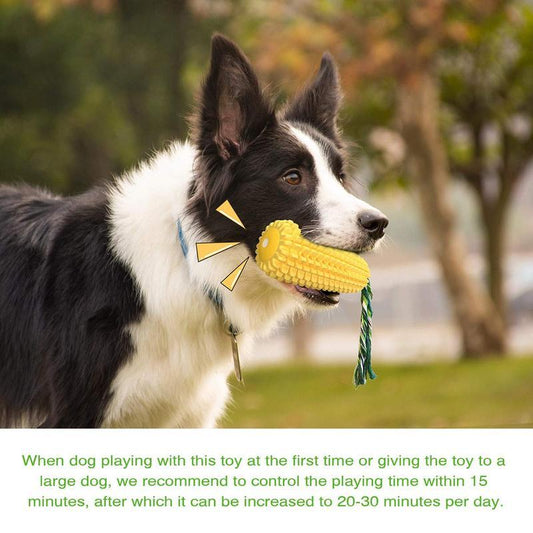 Border Collie dog chewing on Wefulfil Corn-Shaped Dog Chew Toy with green rope outdoors
