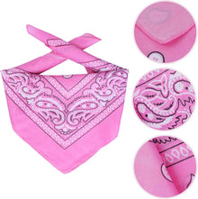 Pink Western Bandana and Hat Set for pets, featuring a stylish paisley design and soft fabric
