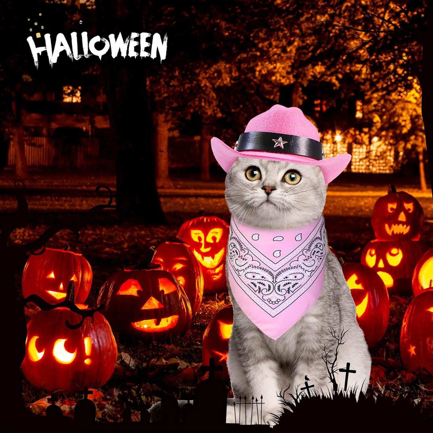 Cat dressed in a pink Western Bandana and Hat Set against a Halloween pumpkin backdrop