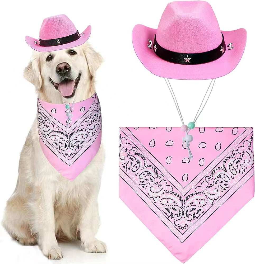 Cute dog wearing a Western Bandana and Hat Set in pink with decorative details