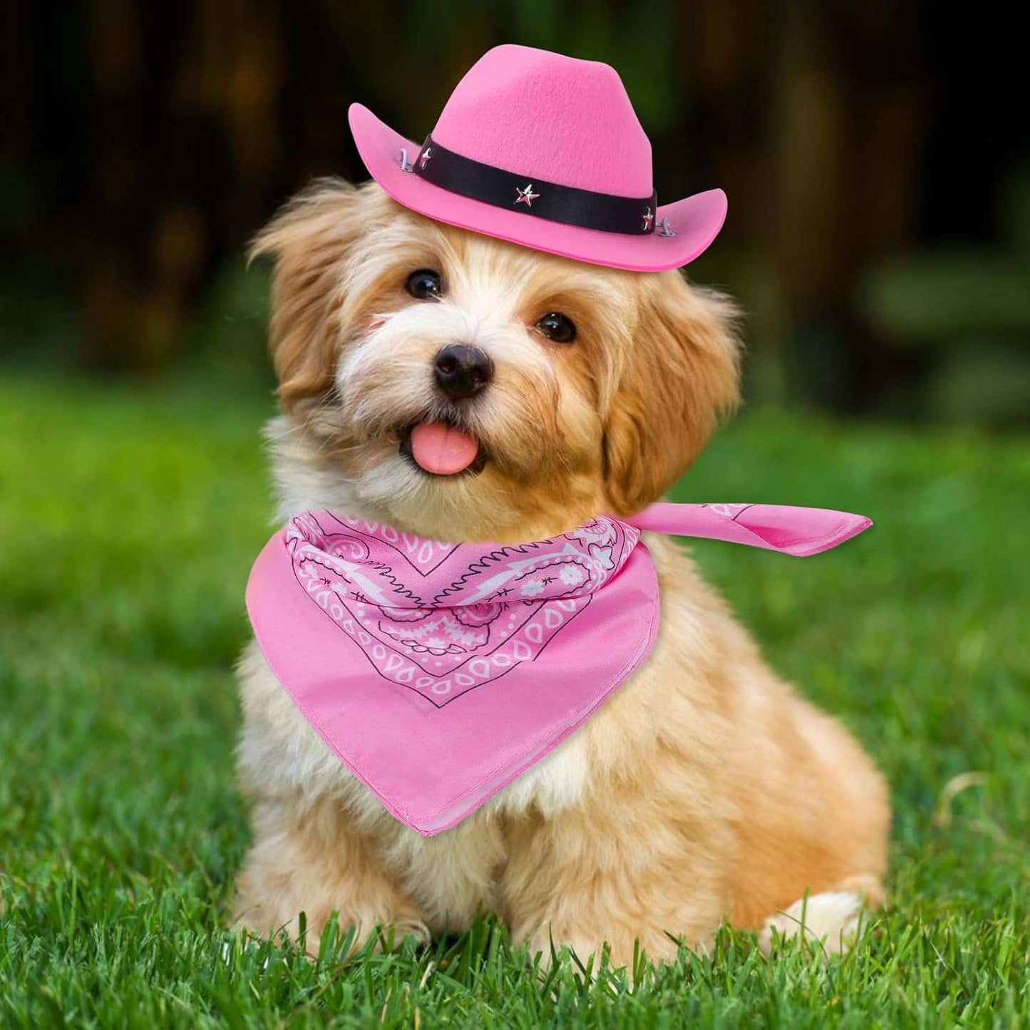 Adorable puppy wearing a pink Western Bandana and Hat Set for stylish pet outfits