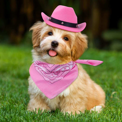 Adorable puppy wearing a pink Western Bandana and Hat Set for stylish pet outfits