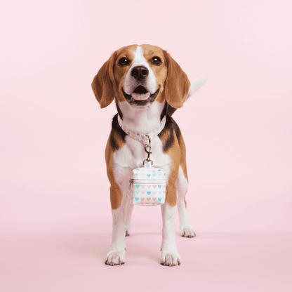 Dog Leash with Poop Bag Holder - Matching Set - Purrfect Pet Haven