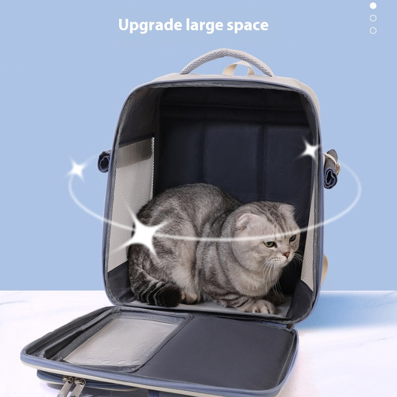 Dropshipman cat backpack carrier with spacious interior and mesh sides showing gray cat inside